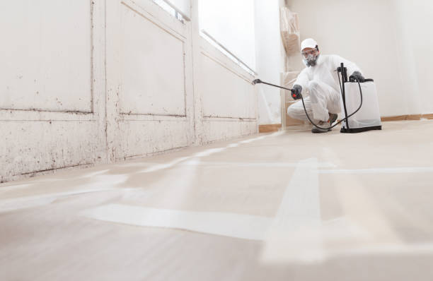 24/7 Emergency Basement Mold Remediation experts in Ayden, NC