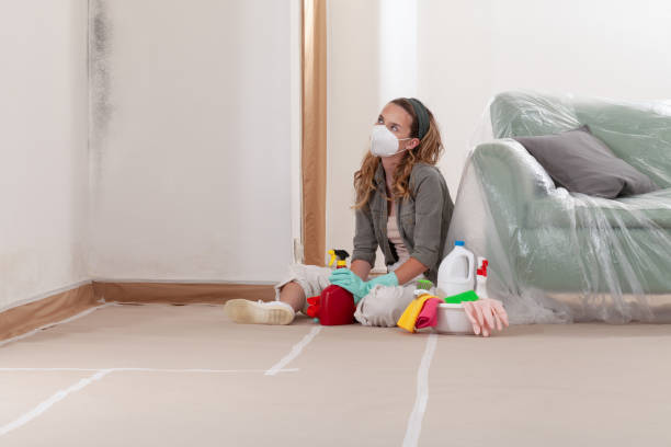 Reliable Basement Mold Remediation contractor in Ayden, NC by WQB Mold Removal